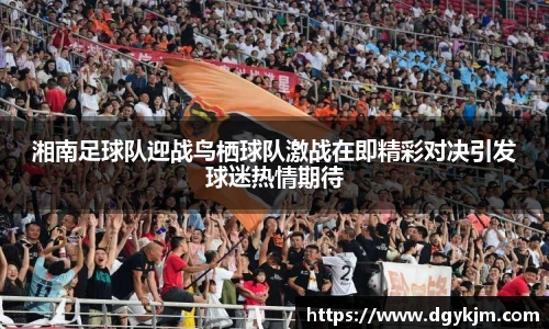 新利体育官网